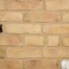 Victorian London 2.75″ Hand Made Brick Slips / Brick Wall Tiles WR